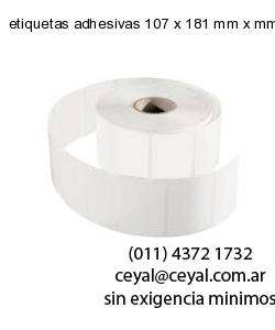 etiquetas adhesivas 107 x 181 mm x mm
