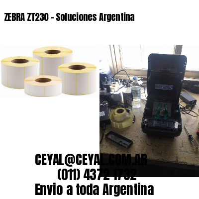 ZEBRA ZT230 – Soluciones Argentina