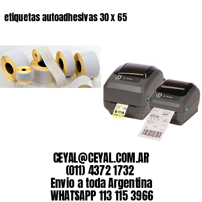 etiquetas autoadhesivas 30 x 65