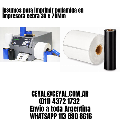 insumos para imprimir poliamida en impresora cebra 30 x 70Mm
