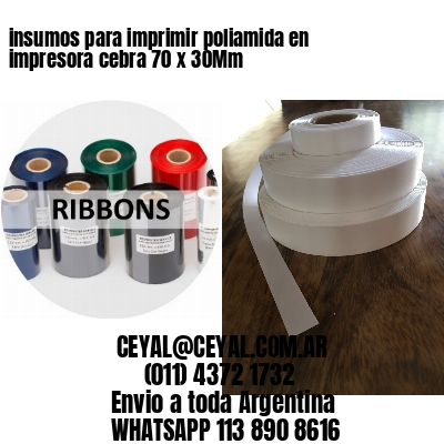 insumos para imprimir poliamida en impresora cebra 70 x 30Mm