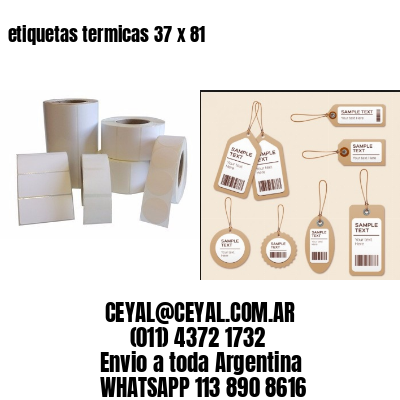etiquetas termicas 37 x 81