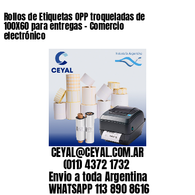 Rollos de Etiquetas OPP troqueladas de 100X60 para entregas – Comercio electrónico