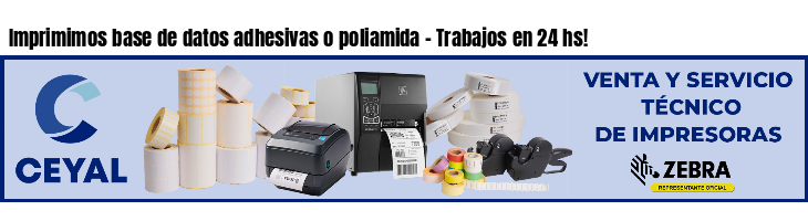 Imprimimos base de datos adhesivas o poliamida - Trabajos en 24 hs!