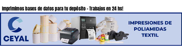 Imprimimos bases de datos para tu depósito - Trabajos en 24 hs!
