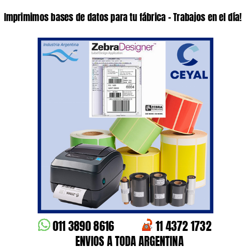 Imprimimos bases de datos para tu fábrica – Trabajos en el día!