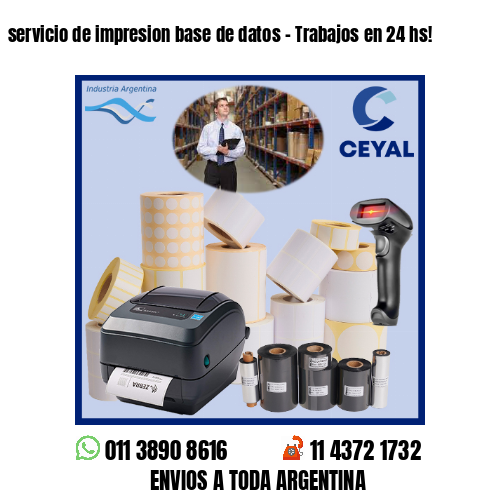 servicio de impresion base de datos – Trabajos en 24 hs!