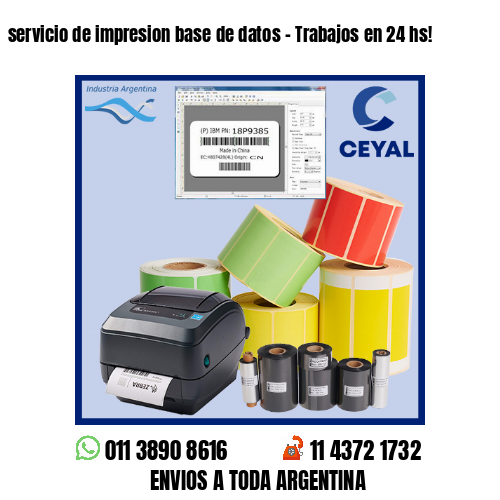 servicio de impresion base de datos – Trabajos en 24 hs!