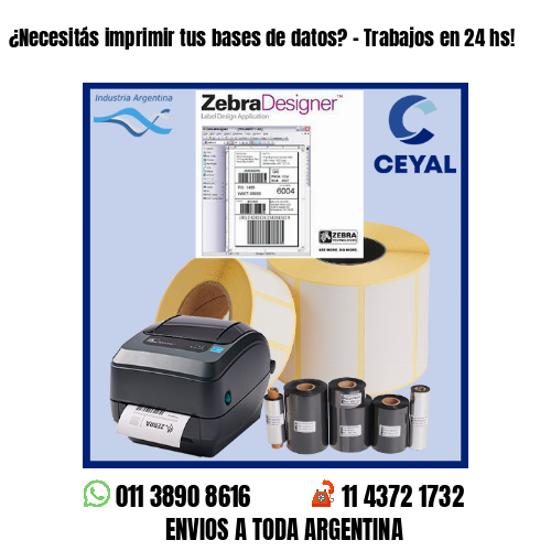 ¿Necesitás imprimir tus bases de datos? – Trabajos en 24 hs!