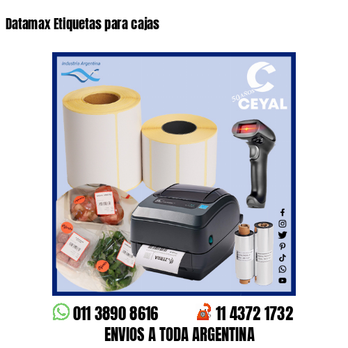 Datamax Etiquetas para cajas