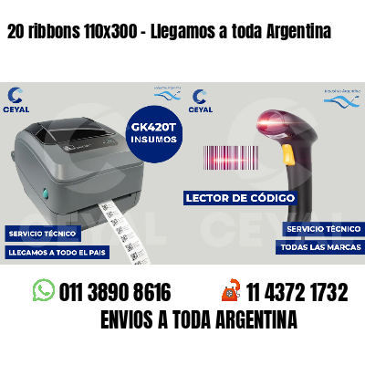 20 ribbons 110x300 - Llegamos a toda Argentina