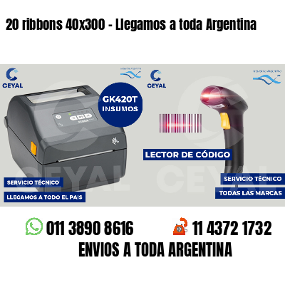 20 ribbons 40x300 - Llegamos a toda Argentina