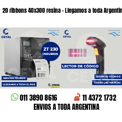 20 ribbons 40x300 resina - Llegamos a toda Argentina