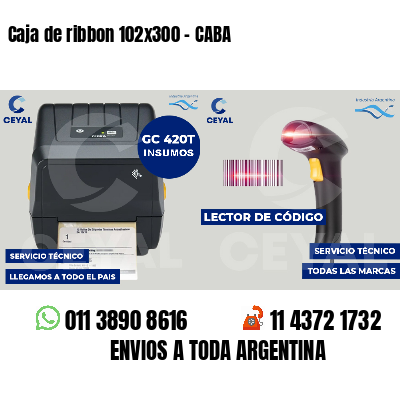 Caja de ribbon 102x300 - CABA