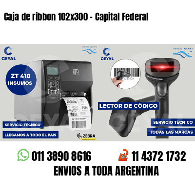 Caja de ribbon 102x300 - Capital Federal