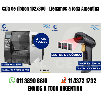 Caja de ribbon 102x300 - Llegamos a toda Argentina