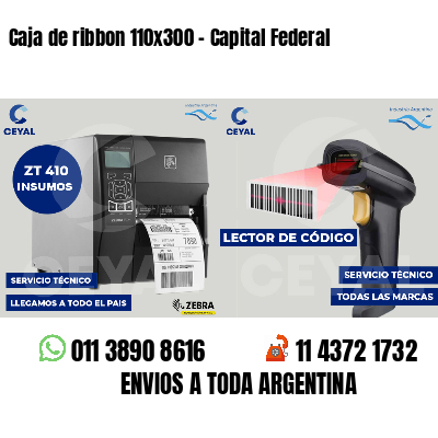 Caja de ribbon 110x300 - Capital Federal