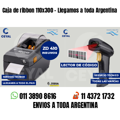 Caja de ribbon 110x300 - Llegamos a toda Argentina