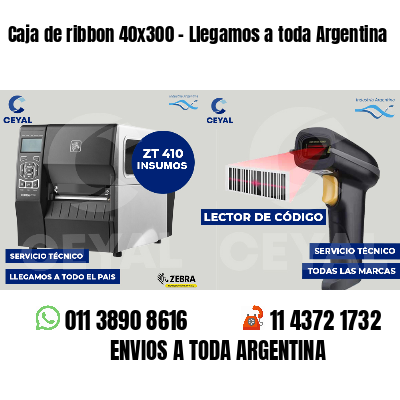 Caja de ribbon 40x300 - Llegamos a toda Argentina