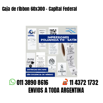 Caja de ribbon 60x300 - Capital Federal
