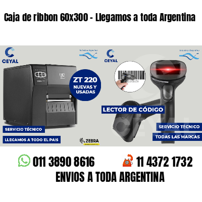 Caja de ribbon 60x300 - Llegamos a toda Argentina