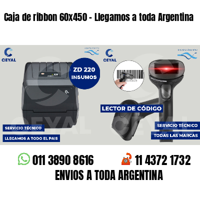 Caja de ribbon 60x450 - Llegamos a toda Argentina