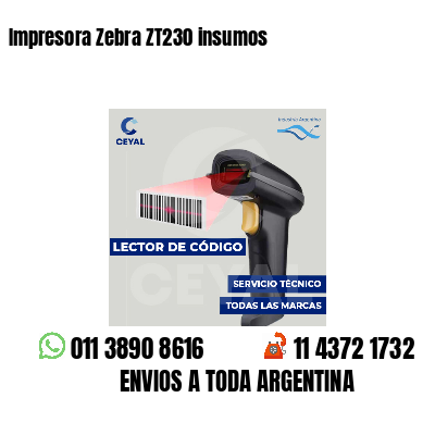 Impresora Zebra ZT230 insumos