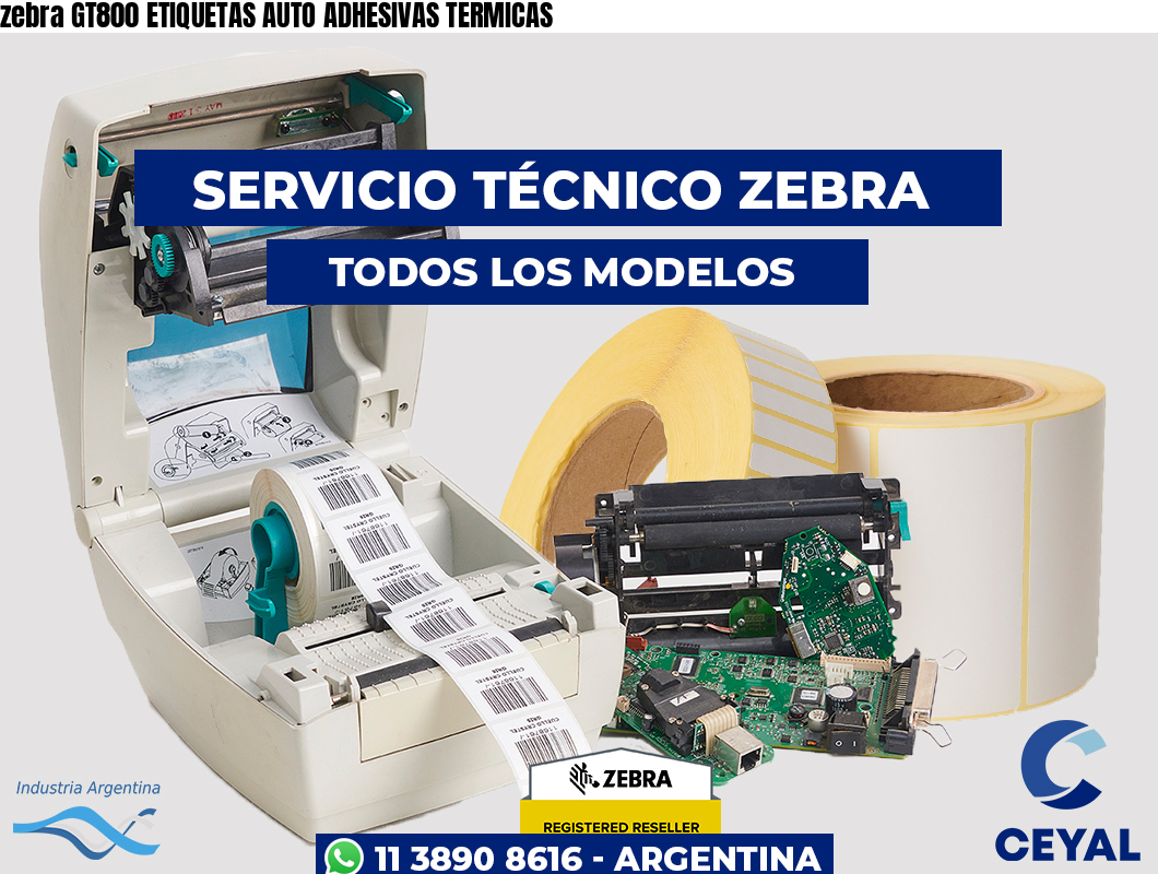 zebra GT800 ETIQUETAS AUTO ADHESIVAS TERMICAS