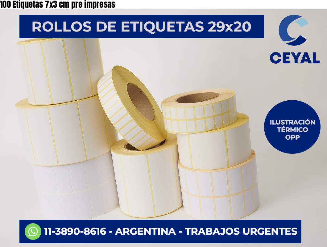 100 Etiquetas 7×3 cm pre impresas