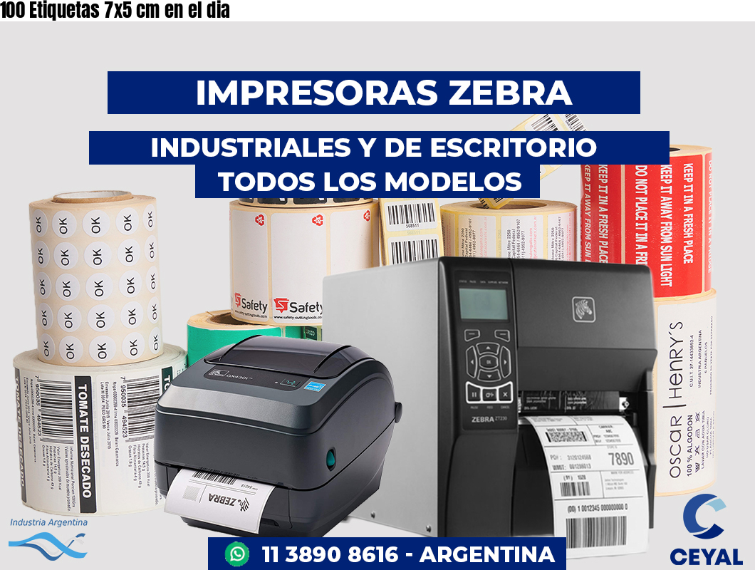 100 Etiquetas 7x5 cm en el dia