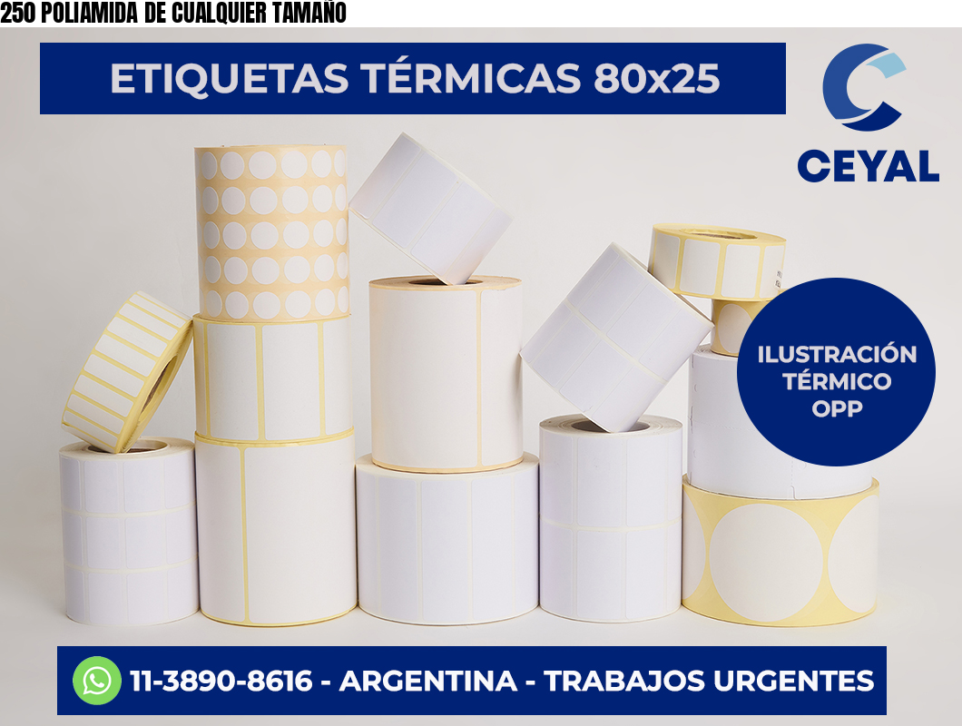 250 POLIAMIDA DE CUALQUIER TAMAÑO