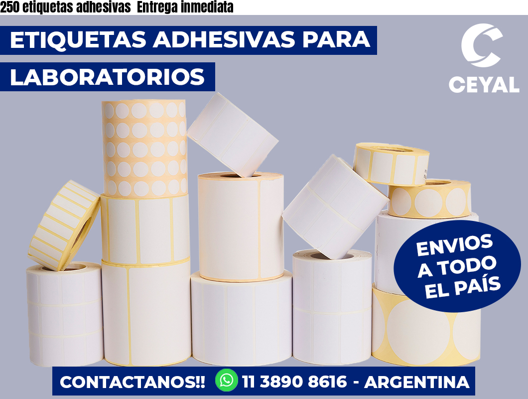 250 etiquetas adhesivas  Entrega inmediata