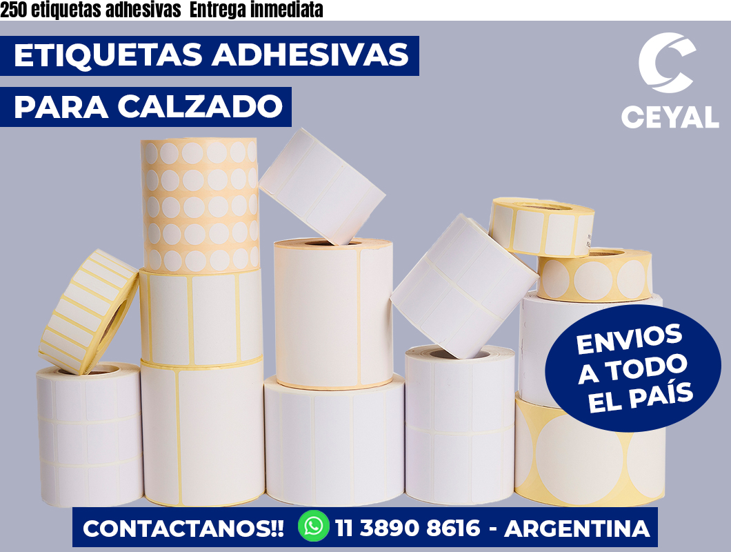 250 etiquetas adhesivas  Entrega inmediata