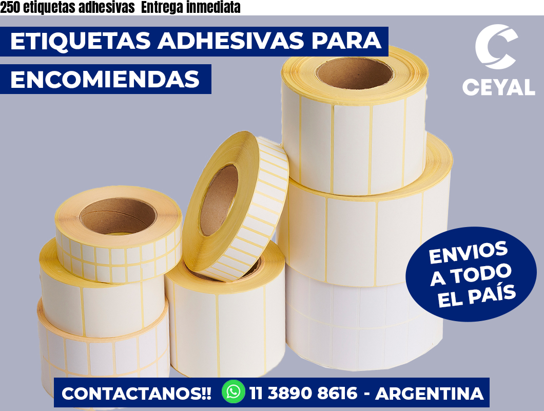 250 etiquetas adhesivas  Entrega inmediata