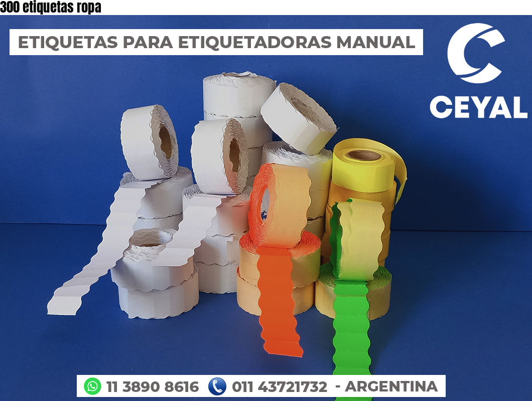 300 etiquetas ropa