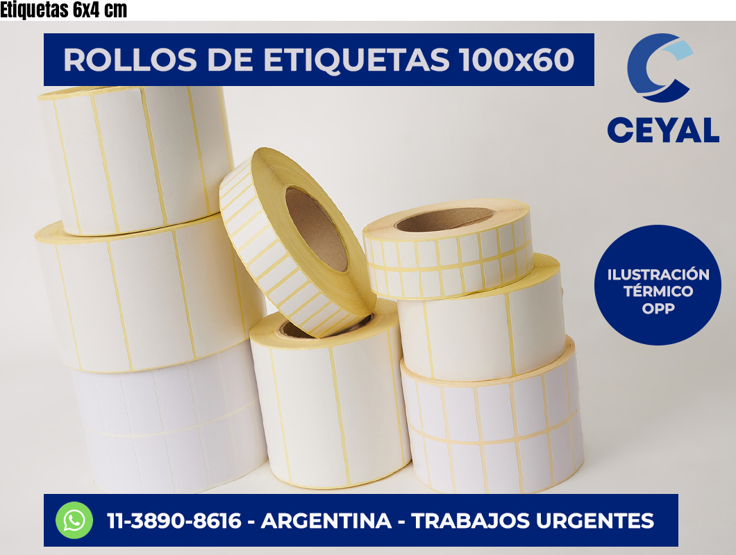 Etiquetas 6×4 cm