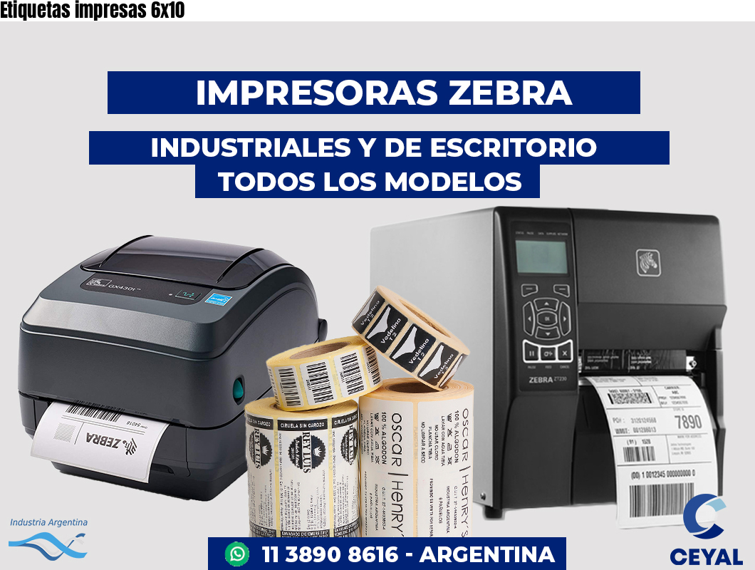 Etiquetas impresas 6x10