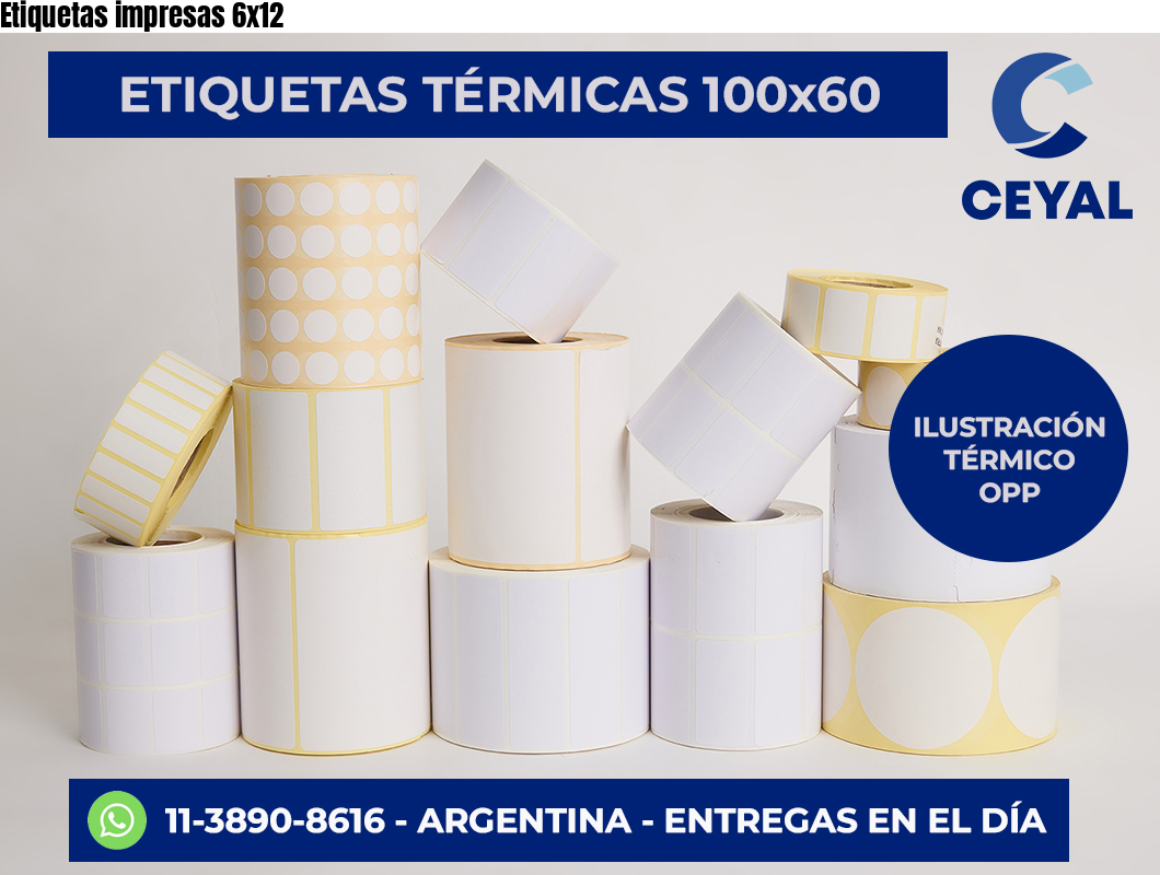 Etiquetas impresas 6×12