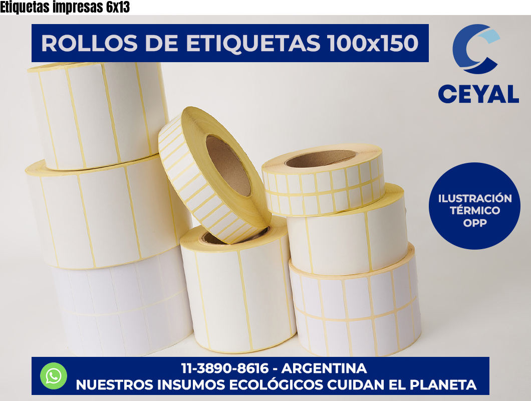 Etiquetas impresas 6×13
