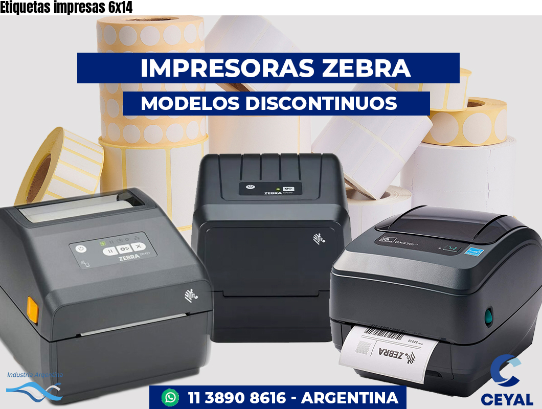 Etiquetas impresas 6x14