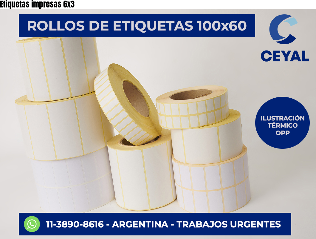 Etiquetas impresas 6×3