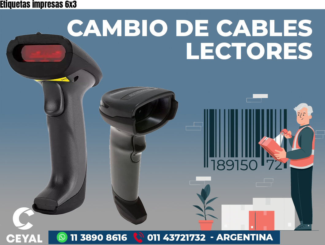 Etiquetas impresas 6x3