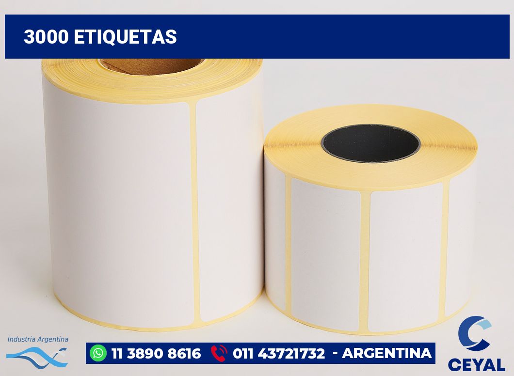 3000 Etiquetas
