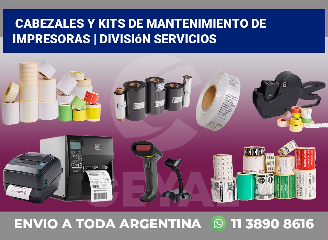 Cabezales y kits de mantenimiento de impresoras | División Servicios