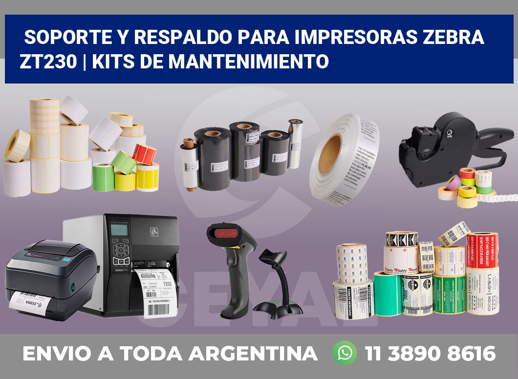Soporte y respaldo para impresoras Zebra ZT230 | Kits de mantenimiento