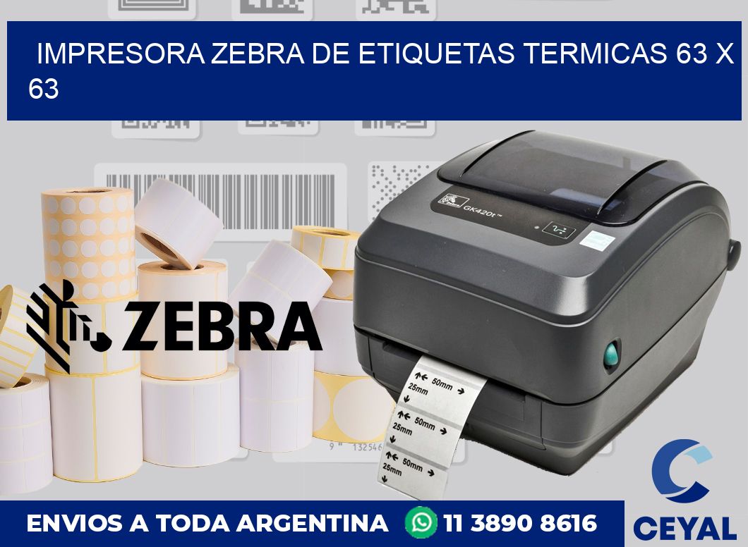 Impresora Zebra de etiquetas termicas 63 x 63
