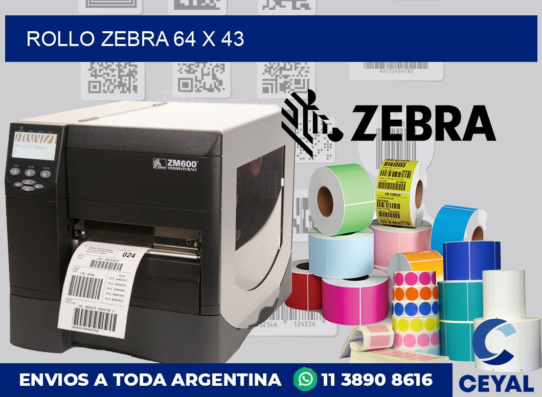 rollo zebra 64 x 43