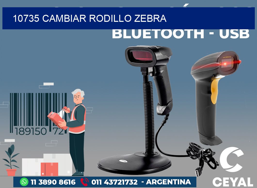 10735 CAMBIAR RODILLO ZEBRA