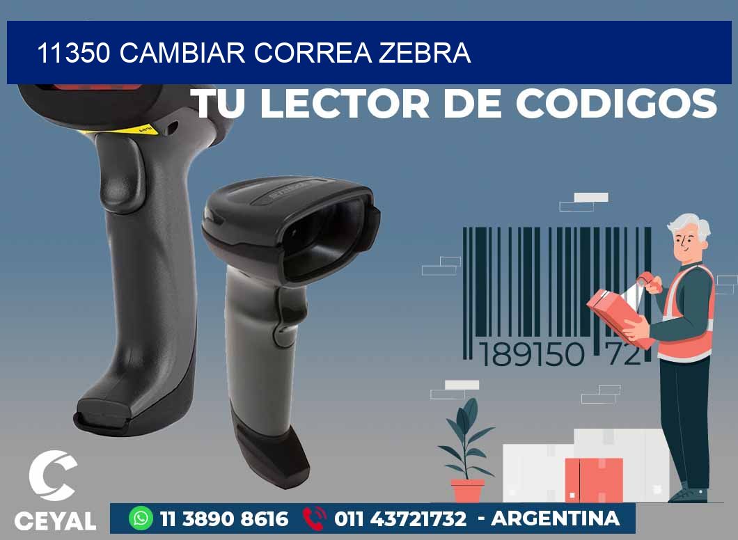 11350 CAMBIAR CORREA ZEBRA