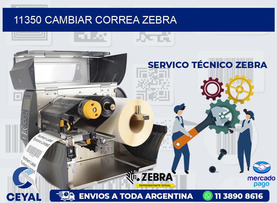11350 CAMBIAR CORREA ZEBRA